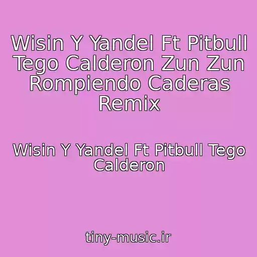 کاور آهنگ Wisin Y Yandel Ft Pitbull Tego Calderon Zun Zun Rompiendo Caderas Remix از Wisin Y Yandel Ft Pitbull Tego Calderon