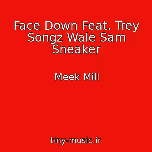 کاور آهنگ Face Down Feat. Trey Songz Wale Sam Sneaker از Meek Mill