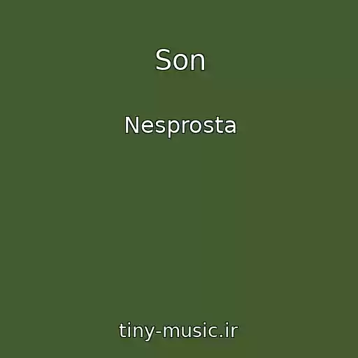 کاور آهنگ Son از Nesprosta