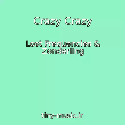 کاور آهنگ Crazy Crazy از Lost Frequencies & Zonderling