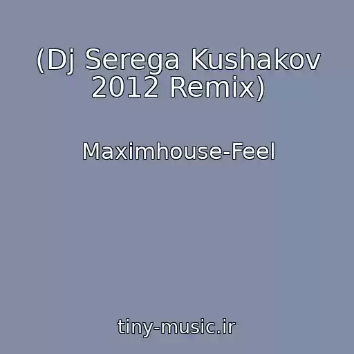 کاور آهنگ (Dj Serega Kushakov 2012 Remix) از Maximhouse-Feel