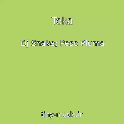 کاور آهنگ Teka از Dj Snake; Peso Pluma