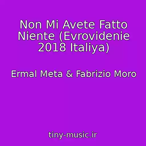 کاور آهنگ Non Mi Avete Fatto Niente (Evrovidenie 2018 Italiya) از Ermal Meta & Fabrizio Moro