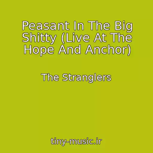 کاور آهنگ Peasant In The Big Shitty (Live At The Hope And Anchor) از The Stranglers