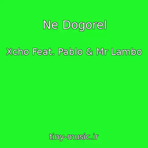 کاور آهنگ Ne Dogorel از Xcho Feat. Pablo & Mr Lambo
