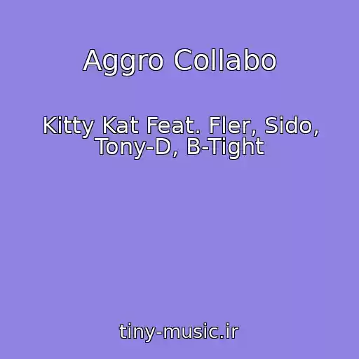 کاور آهنگ Aggro Collabo از Kitty Kat Feat. Fler, Sido, Tony-D, B-Tight