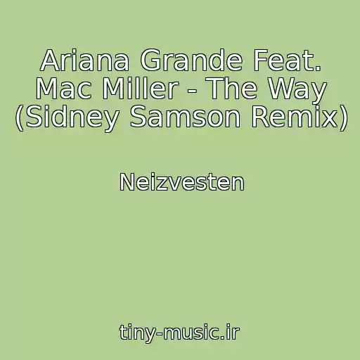 کاور آهنگ Ariana Grande Feat. Mac Miller - The Way (Sidney Samson Remix) از Neizvesten