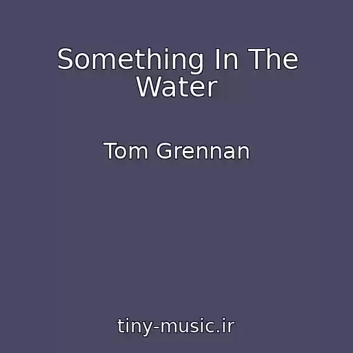کاور آهنگ Something In The Water از Tom Grennan