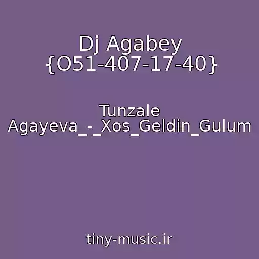 کاور آهنگ Dj Agabey {O51-407-17-40} از Tunzale Agayeva_-_Xos_Geldin_Gulum