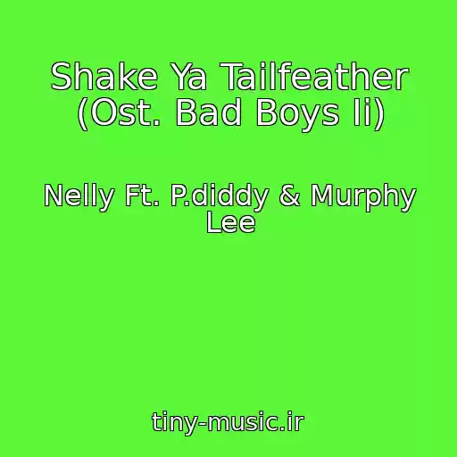 کاور آهنگ Shake Ya Tailfeather (Ost. Bad Boys Ii) از Nelly Ft. P.diddy & Murphy Lee