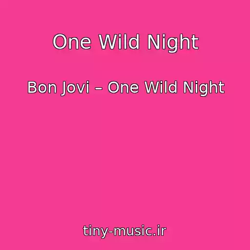 کاور آهنگ One Wild Night از Bon Jovi – One Wild Night