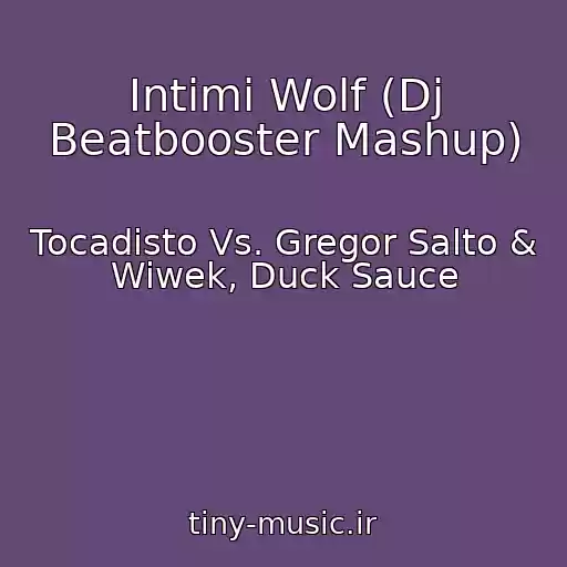کاور آهنگ Intimi Wolf (Dj Beatbooster Mashup) از Tocadisto Vs. Gregor Salto & Wiwek, Duck Sauce