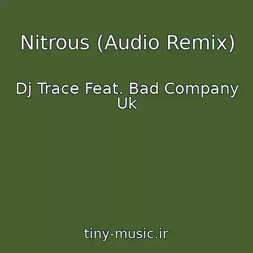 کاور آهنگ Nitrous (Audio Remix) از Dj Trace Feat. Bad Company Uk