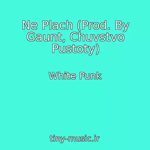 کاور آهنگ Ne Plach (Prod. By Gaunt, Chuvstvo Pustoty) از White Punk