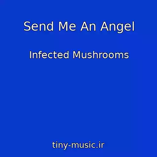 کاور آهنگ Send Me An Angel از Infected Mushrooms