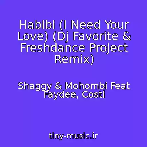 کاور آهنگ Habibi (I Need Your Love) (Dj Favorite & Freshdance Project Remix) از Shaggy & Mohombi Feat Faydee, Costi