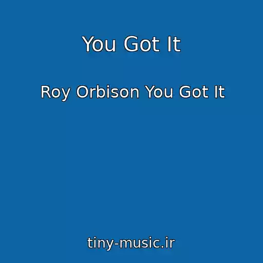 کاور آهنگ You Got It از Roy Orbison You Got It