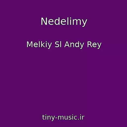 کاور آهنگ Nedelimy از Melkiy Sl Andy Rey