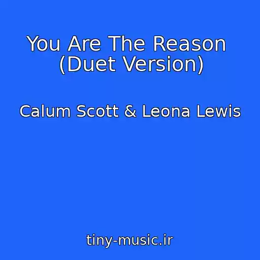کاور آهنگ You Are The Reason  (Duet Version) از Calum Scott & Leona Lewis