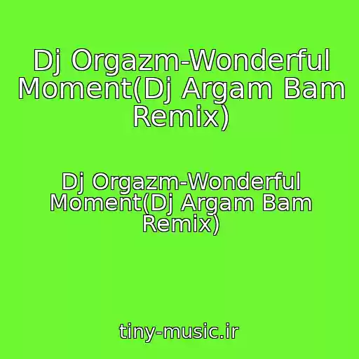 کاور آهنگ Dj Orgazm-Wonderful Moment(Dj Argam Bam Remix) از Dj Orgazm-Wonderful Moment(Dj Argam Bam Remix)