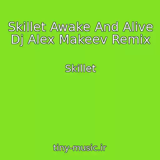 کاور آهنگ Skillet Awake And Alive Dj Alex Makeev Remix از Skillet