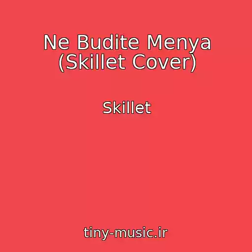 کاور آهنگ Ne Budite Menya (Skillet Cover) از Skillet