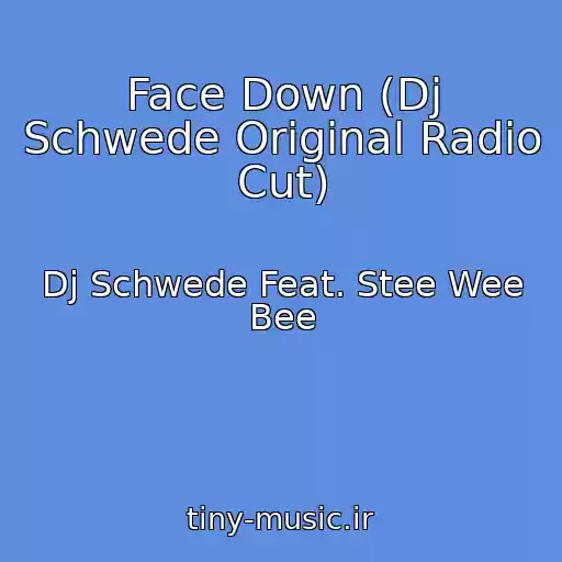 کاور آهنگ Face Down (Dj Schwede Original Radio Cut) از Dj Schwede Feat. Stee Wee Bee