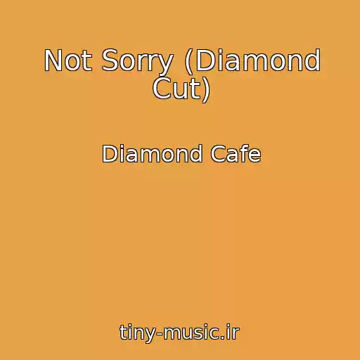 کاور آهنگ Not Sorry (Diamond Cut) از Diamond Cafe