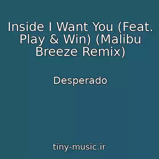 کاور آهنگ Inside I Want You (Feat. Play & Win) (Malibu Breeze Remix) از Desperado
