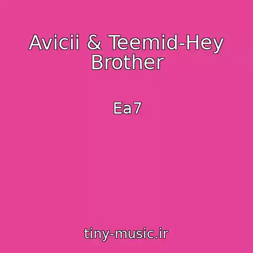 کاور آهنگ Avicii & Teemid-Hey Brother از Ea7