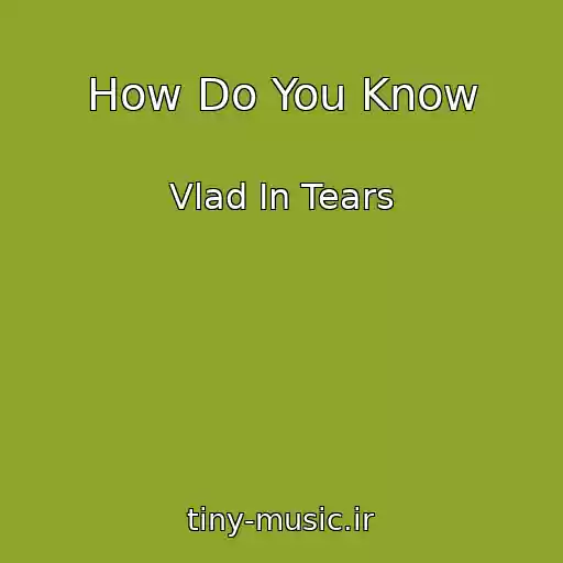 کاور آهنگ How Do You Know از Vlad In Tears