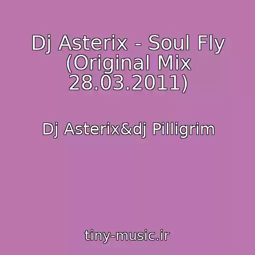 کاور آهنگ Dj Asterix - Soul Fly (Original Mix 28.03.2011) از Dj Asterix&dj Pilligrim