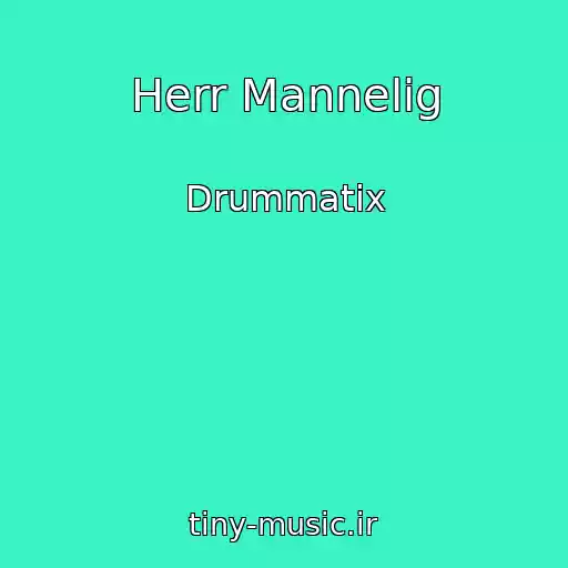 کاور آهنگ Herr Mannelig از Drummatix