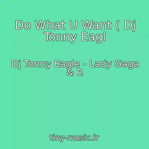 کاور آهنگ Do What U Want ( Dj Tonny Eagl از Dj Tonny Eagle - Lady Gaga & R