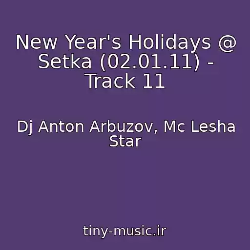 کاور آهنگ New Year's Holidays @ Setka (02.01.11) - Track 11 از Dj Anton Arbuzov, Mc Lesha Star