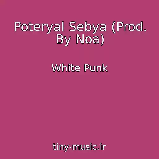 کاور آهنگ Poteryal Sebya (Prod. By Noa) از White Punk