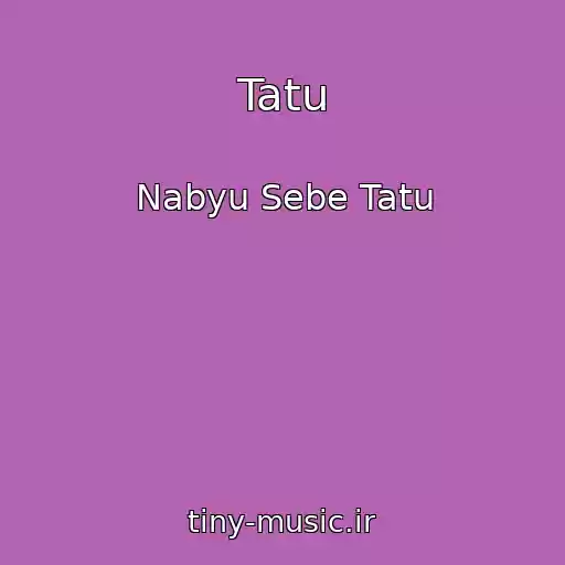 کاور آهنگ Tatu از Nabyu Sebe Tatu