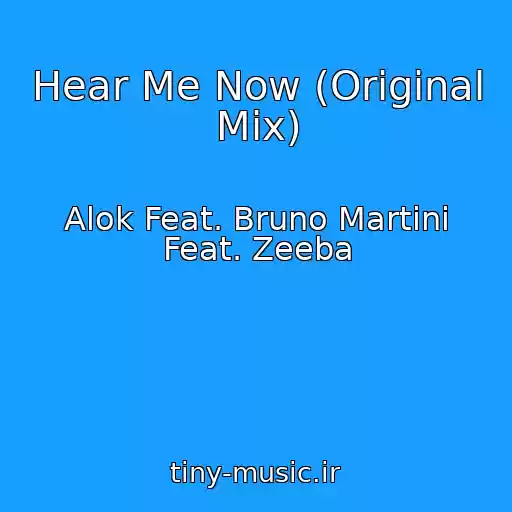 کاور آهنگ Hear Me Now (Original Mix) از Alok Feat. Bruno Martini Feat. Zeeba