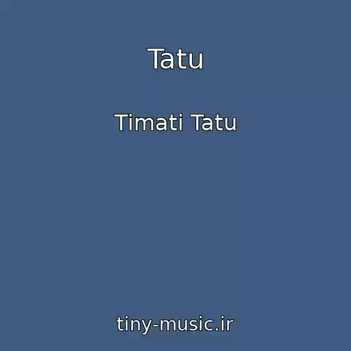 کاور آهنگ Tatu از Timati Tatu