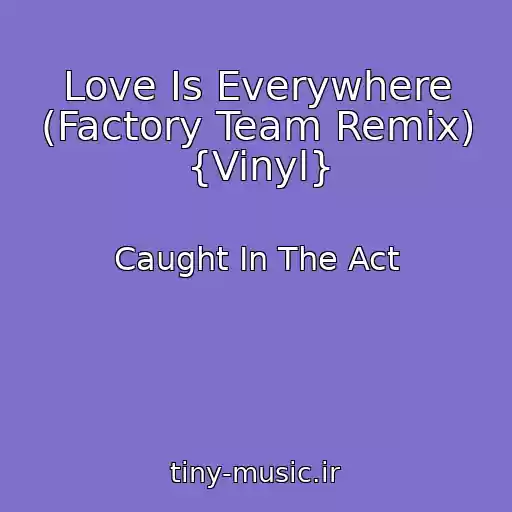 کاور آهنگ Love Is Everywhere (Factory Team Remix) {Vinyl} از Caught In The Act