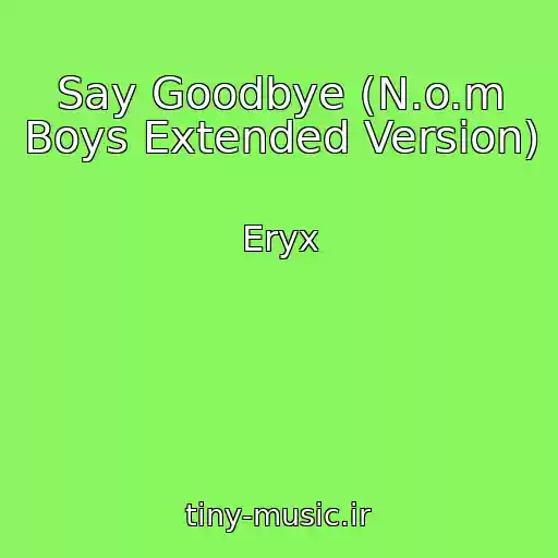 کاور آهنگ Say Goodbye (N.o.m Boys Extended Version) از Eryx