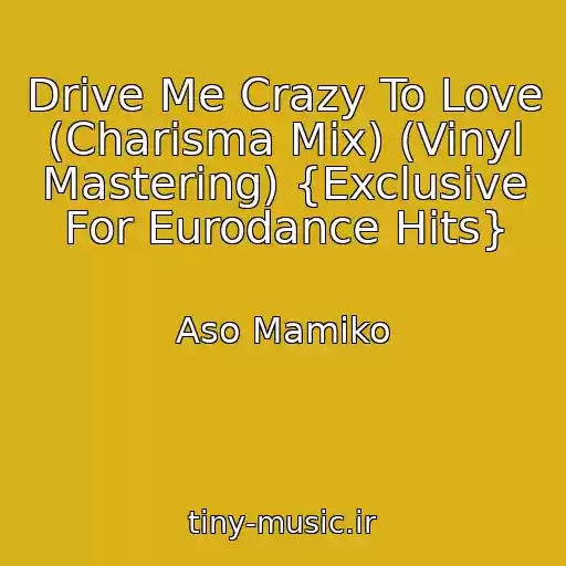 کاور آهنگ Drive Me Crazy To Love (Charisma Mix) (Vinyl Mastering) {Exclusive For Eurodance Hits} از Aso Mamiko