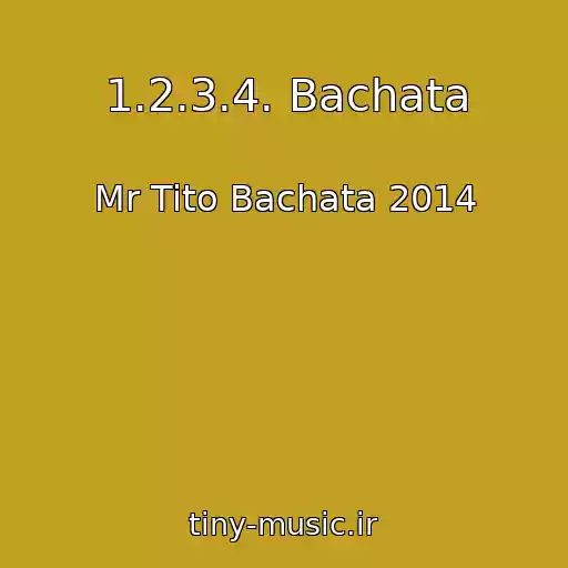 کاور آهنگ 1.2.3.4. Bachata از Mr Tito Bachata 2014