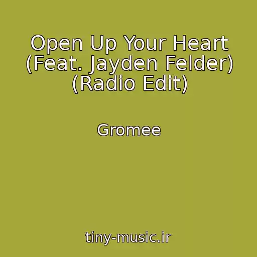 کاور آهنگ Open Up Your Heart (Feat. Jayden Felder) (Radio Edit) از Gromee