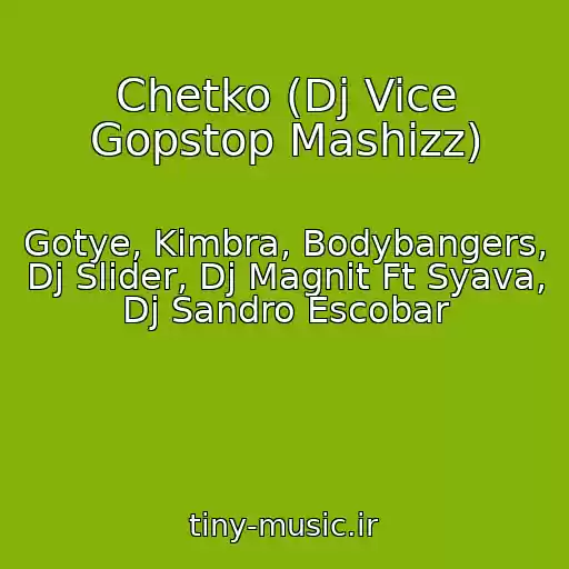 کاور آهنگ Chetko (Dj Vice Gopstop Mashizz) از Gotye, Kimbra, Bodybangers, Dj Slider, Dj Magnit Ft Syava, Dj Sandro Escobar
