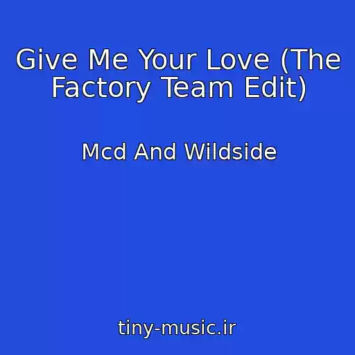 کاور آهنگ Give Me Your Love (The Factory Team Edit) از Mcd And Wildside