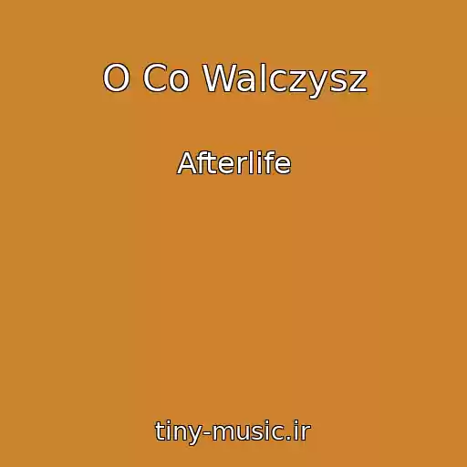 کاور آهنگ O Co Walczysz از Afterlife
