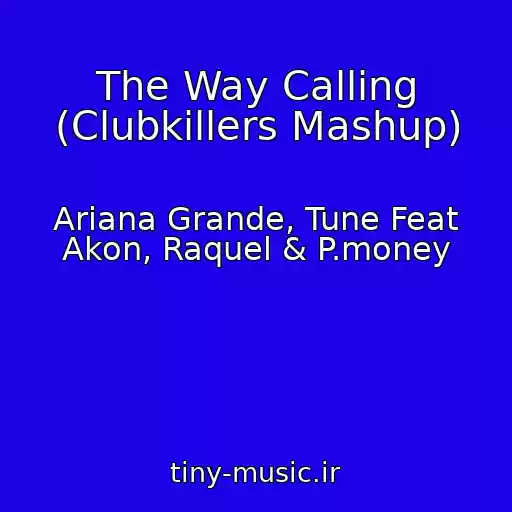 کاور آهنگ The Way Calling (Clubkillers Mashup) از Ariana Grande, Tune Feat Akon, Raquel & P.money