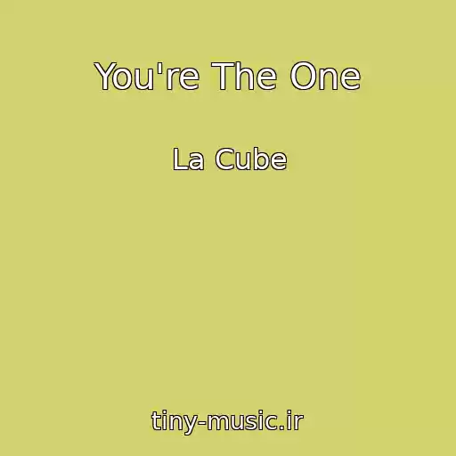 کاور آهنگ You're The One از La Cube