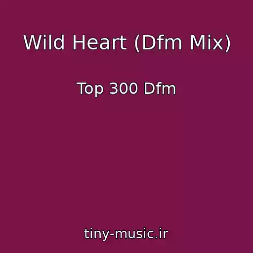 کاور آهنگ Wild Heart (Dfm Mix) از Top 300 Dfm